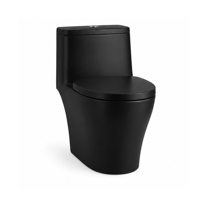 One-piece Toilet — Matte Black finish sample