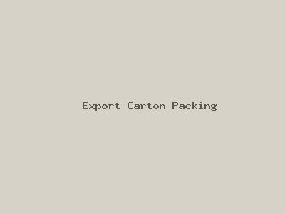 Export Carton Packing