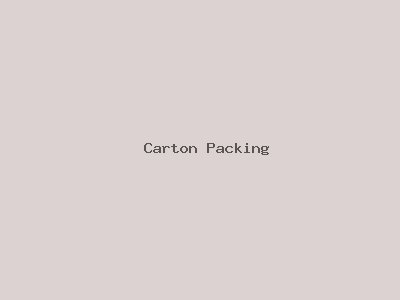 Carton Packing